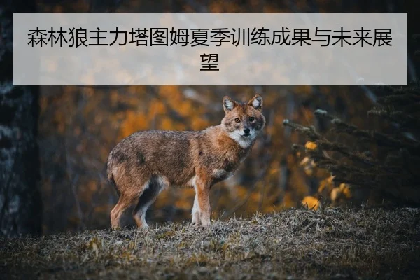 森林狼主力塔图姆夏季训练成果与未来展望