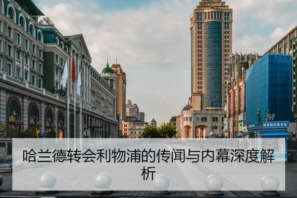 哈兰德转会利物浦的传闻与内幕深度解析